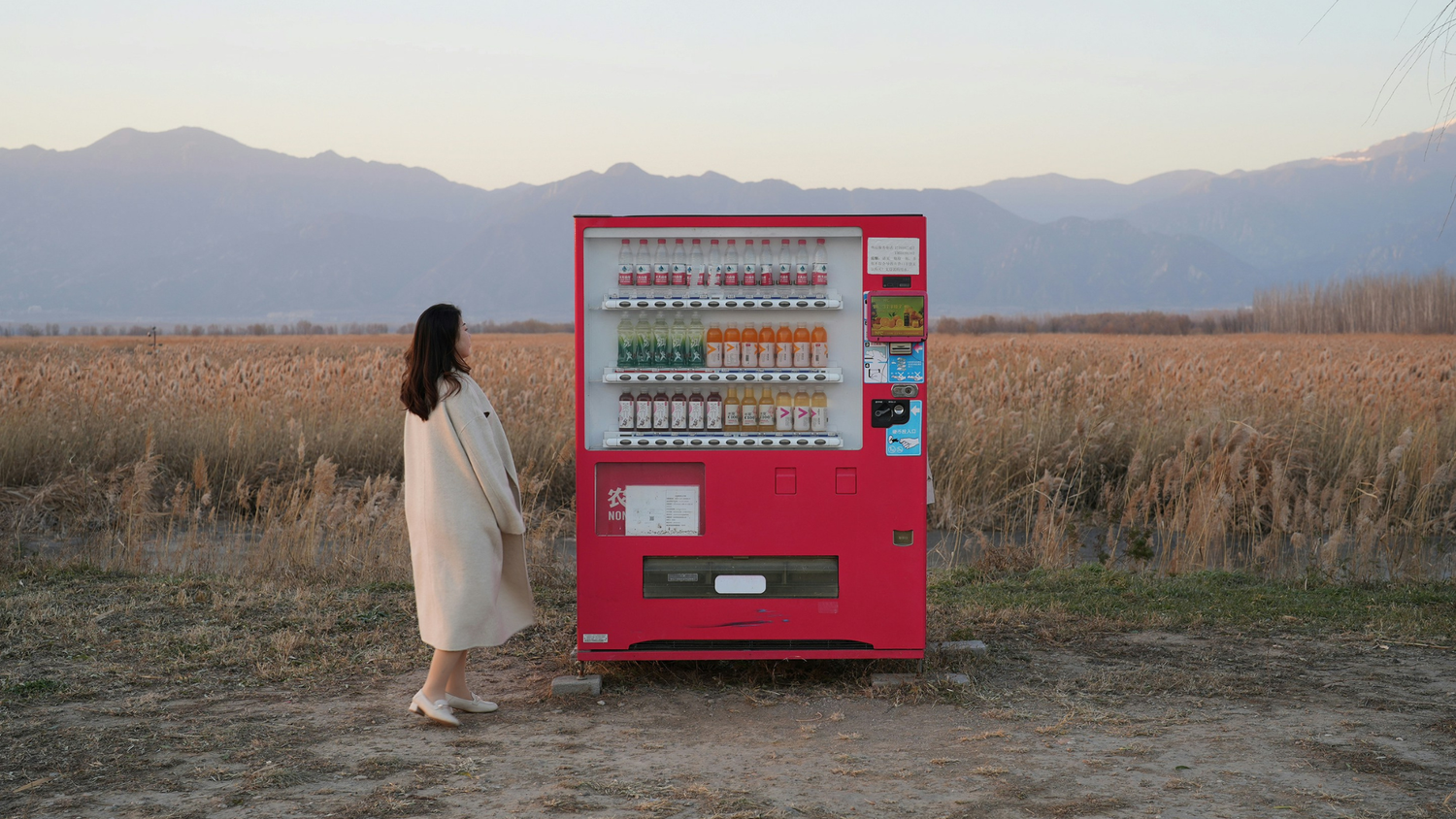 How To Get LLC For Vending Machine Business